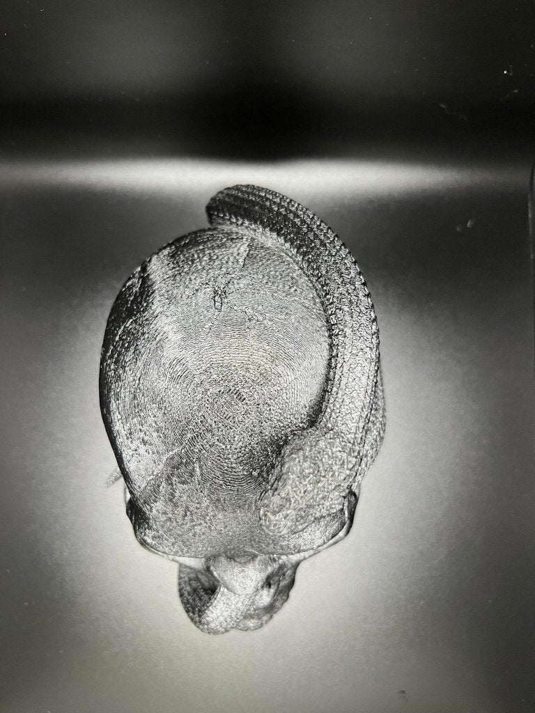 Snake Inside The Skull Geoff Hex3d - Border3d