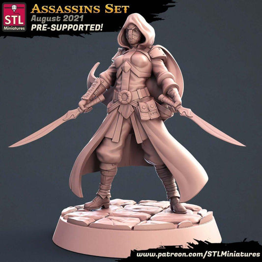 Assassin A By STL Miniatures Border3d - Border3d