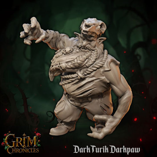 3D resin miniature of Dark Turik Darkpaw Grim Chronicles by Border3D LLC, depicting a shadowed hunter from a dark fantasy saga.