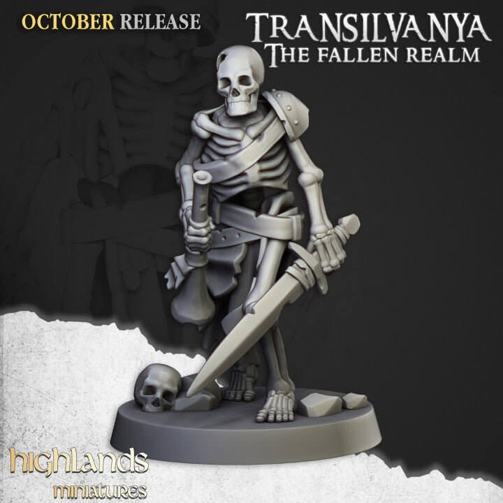 "Highlands Miniatures Skeleton Warriors battlefield setup Border3D LLC"