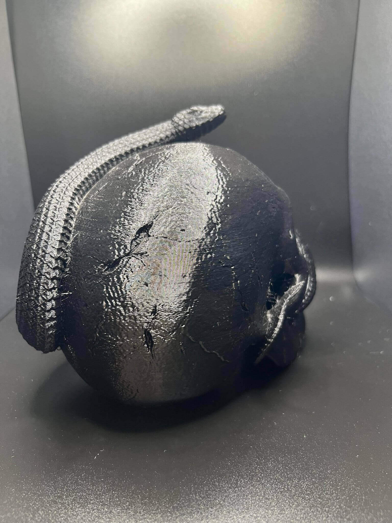 "Snake Inside the Skull Geoff Hex3d painted showcase example Border3D LLC"