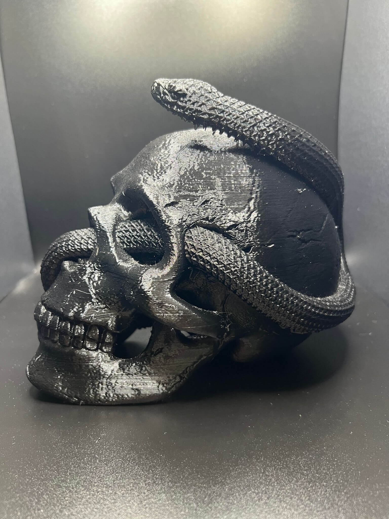 "Snake Inside the Skull Geoff Hex3d gothic sculpture side angle Border3D LLC"