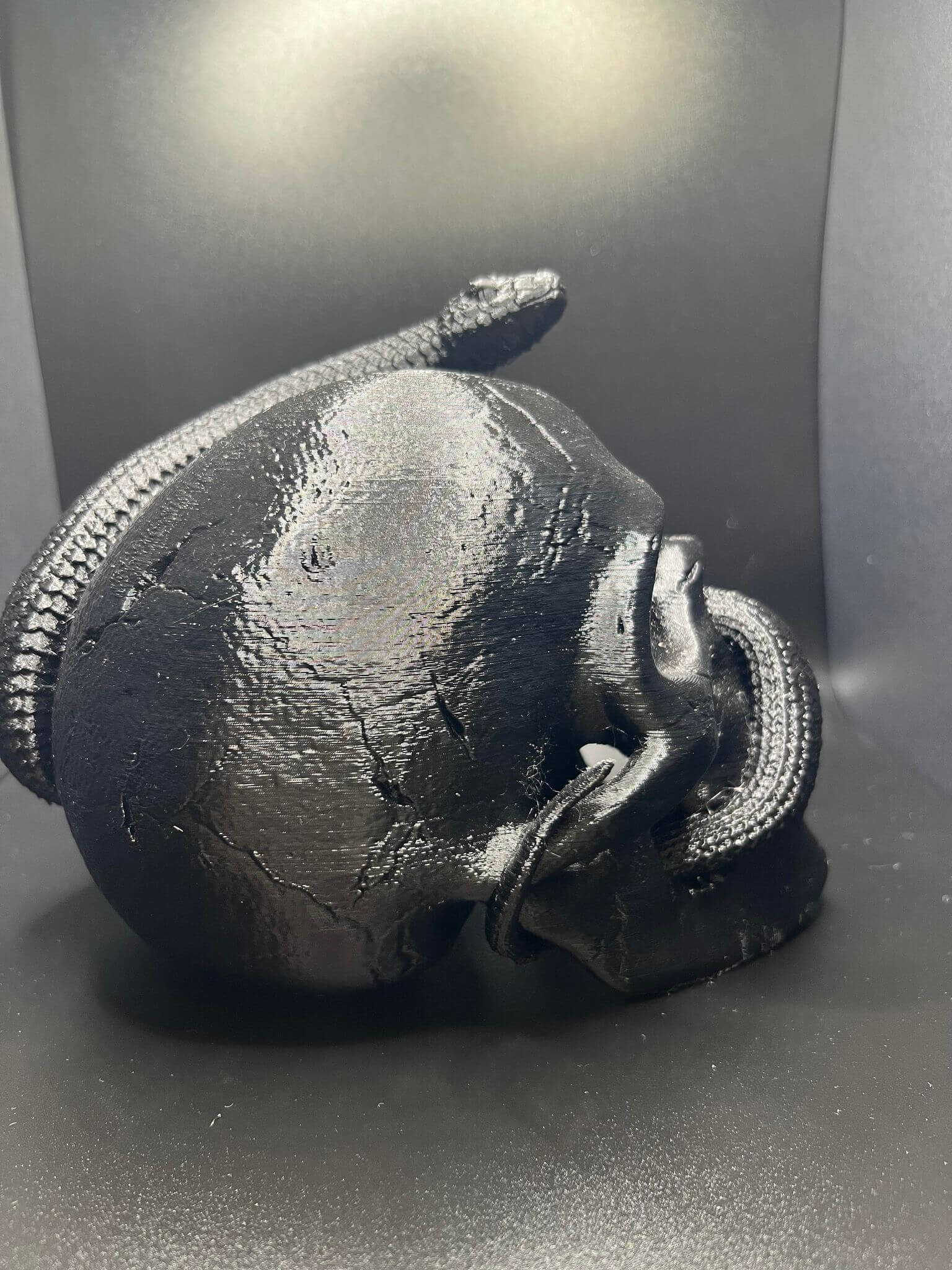 "Snake Inside the Skull Geoff Hex3d size comparison display Border3D LLC"