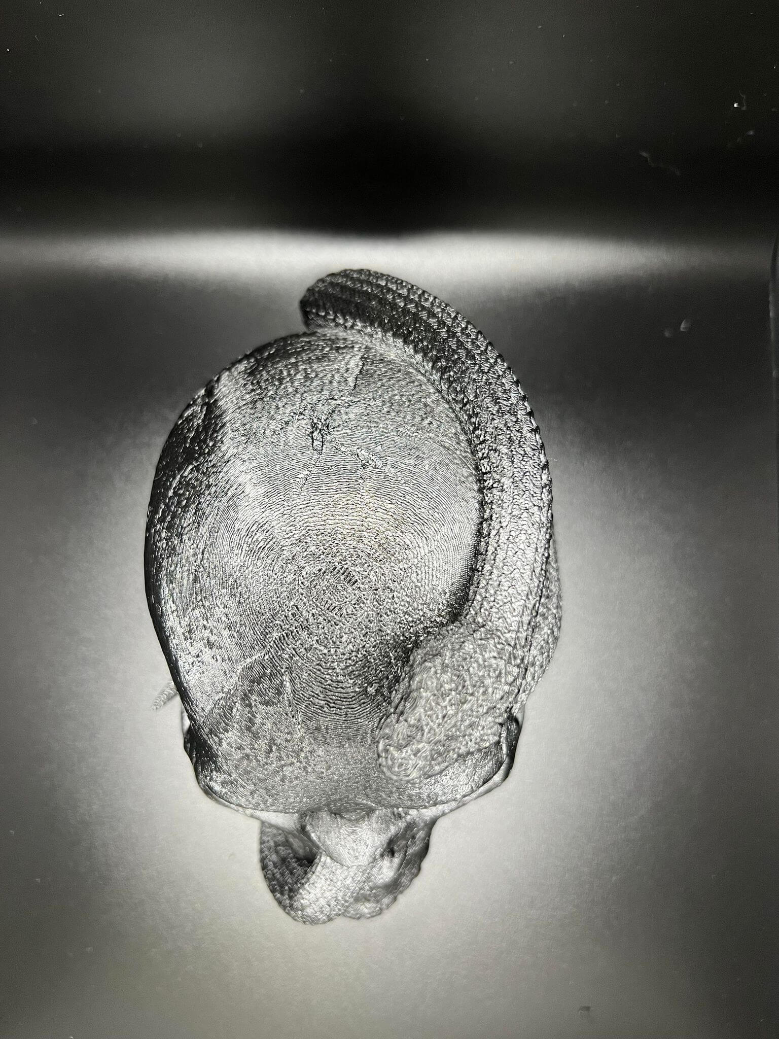 "Snake Inside the Skull Geoff Hex3d size comparison display Border3D LLC-C"