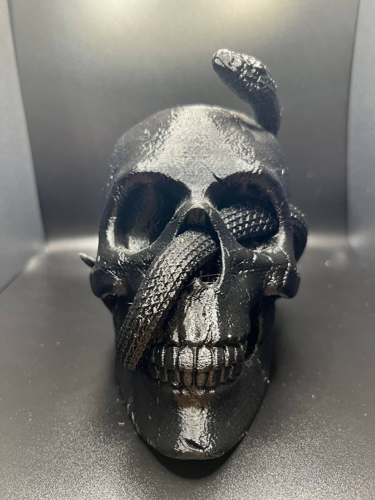 "Snake Inside the Skull Geoff Hex3d 3D printed PLA+ diorama front view Border3D LLC"