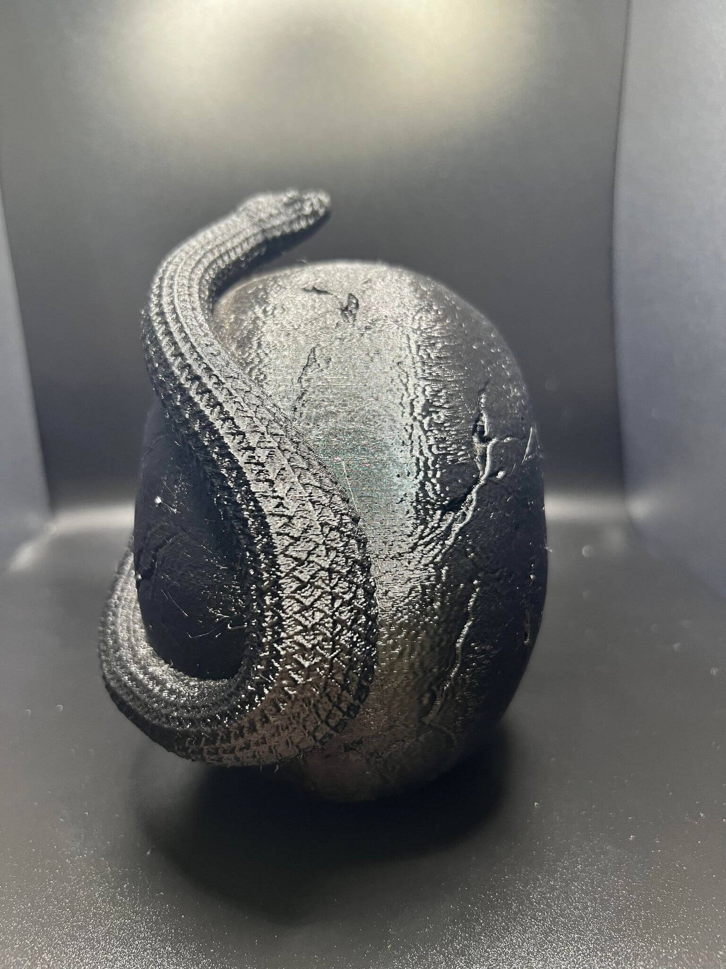 "Snake Inside the Skull Geoff Hex3d diorama back view Border3D LLC"
