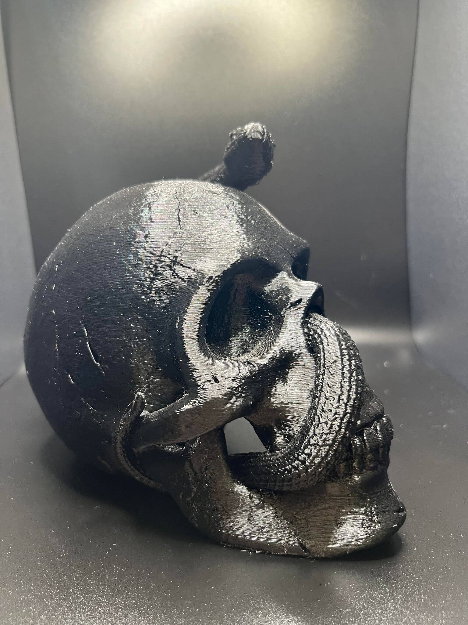 "Snake Inside the Skull Geoff Hex3d size comparison display Border3D LLC-B"