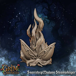 Snaresteep Madame Steamwhisper Grim Chronicles - Border3d
