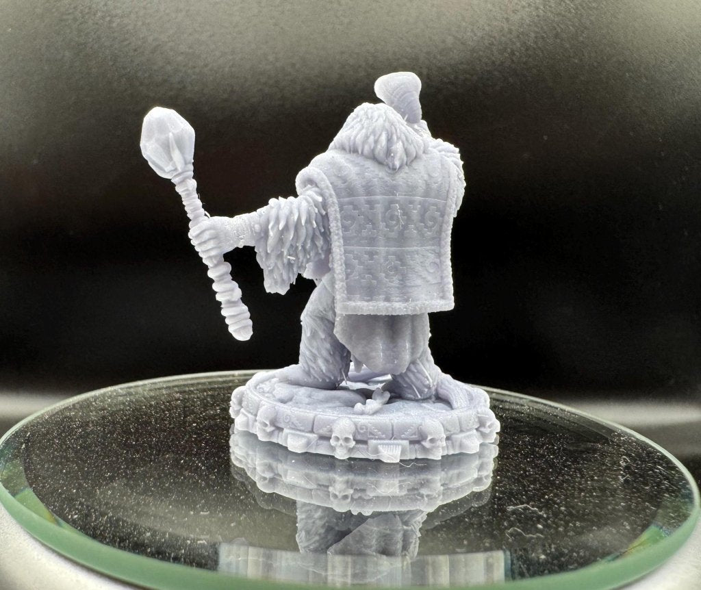 Urak Vaelor - The Strongbacks of Castle Primatus| Daybreak Miniatures - Border3d