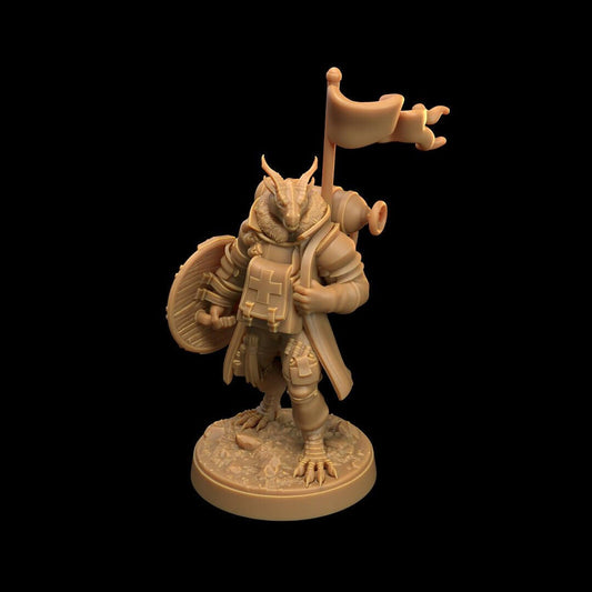 resin The Dragon's War Children Of The Flame Draxi Medic The Dragon Trappers Lodge Border3d LLC — handcrafted by Border3D LLC